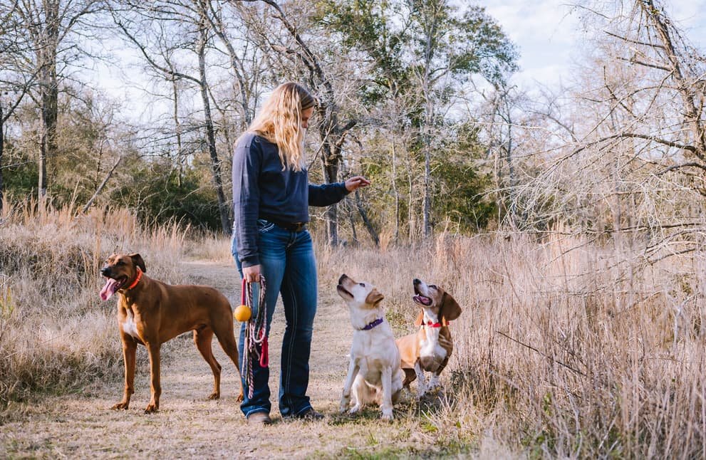 Riley talking to two of her dogs