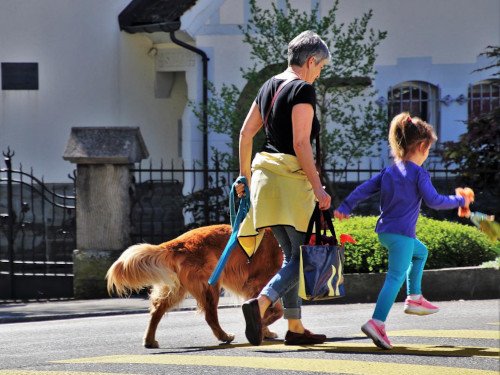 Woman and child walking their dog